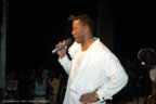 DSC_4785.jpg (31,549 bytes)